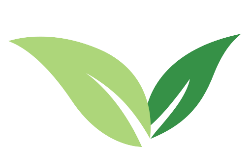 racines-vert-cimes